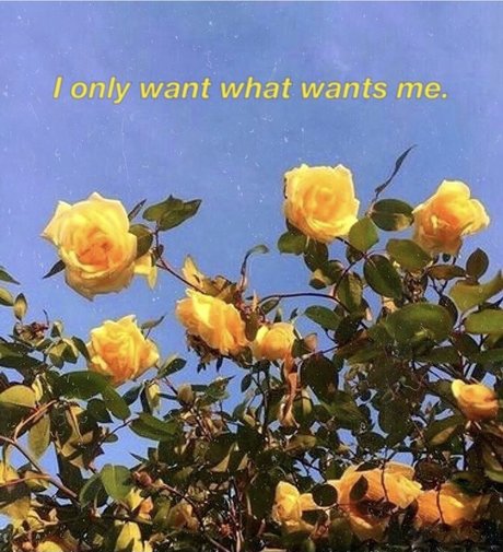 French BB best star photo