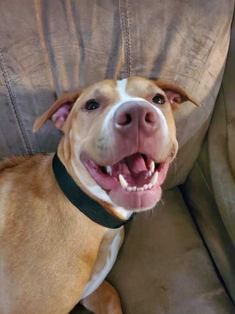 Cute Jess pornstar beautiful images