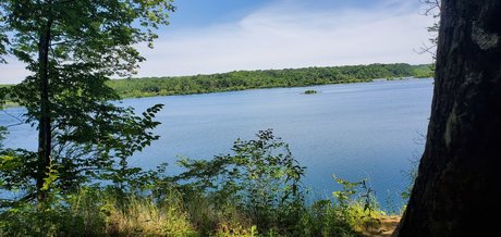 Michael B top actress pics