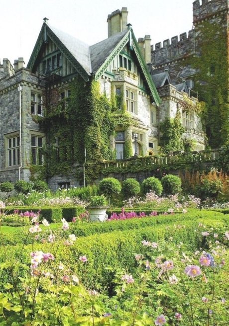 curly and curvy naked star pic