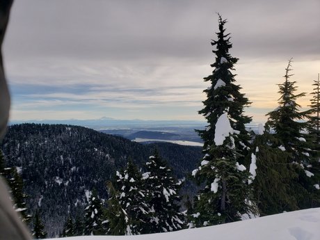 Leon Blackwood adult actress pics