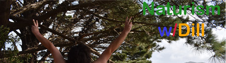 _The Rated R Superstar Dill nude star pic