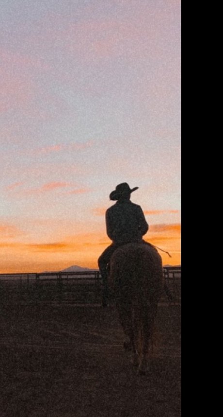 Dottie Walker exclusive pornstar archive