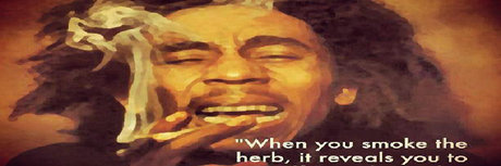 Ninja unicorn_ model best pictures