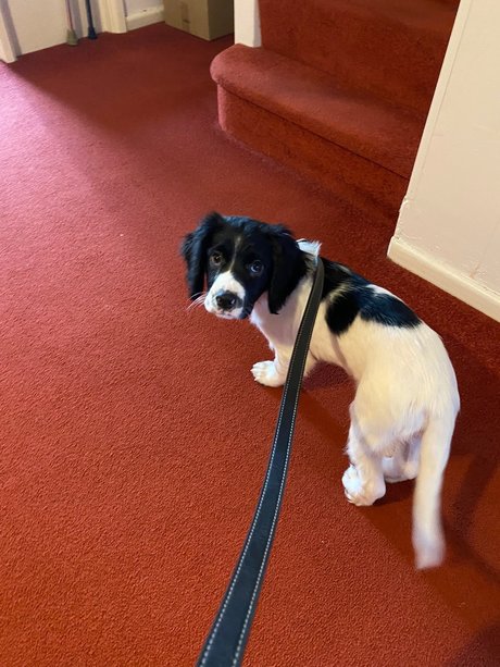 victoria preece naked star pictures