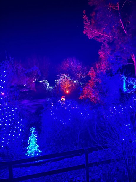 victoria preece exclusive model pics