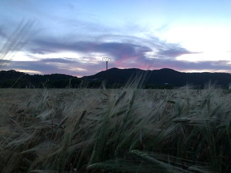 PrincessXX pretty pornstar img