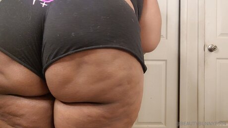 beautybunnny8004 pornstar top images