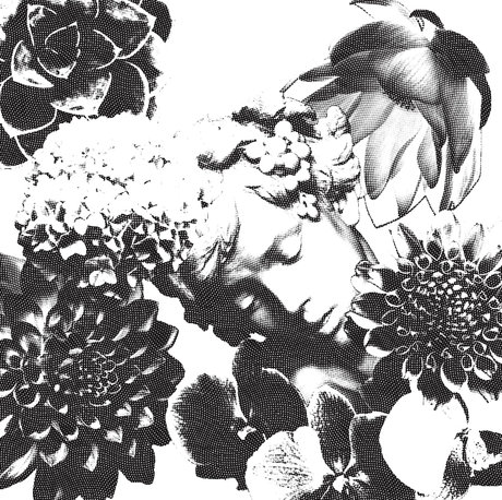 BigDaddyLongLegs nudes pornstar pictures