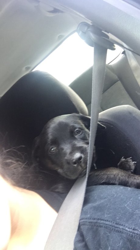 black onlyfans free naked pictures