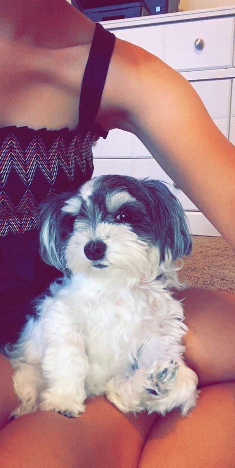 MOLLY MORKIE nice actress photos