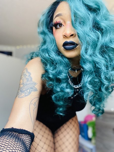 Araeda best model archive