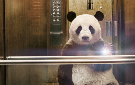 Pandaa Hendrixx beautiful pornstar pic