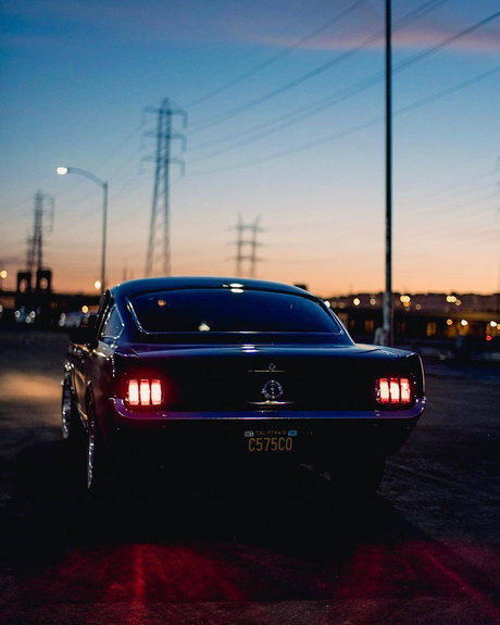 Nico Labeau free actress img