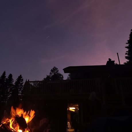 NicNeko art pornstar archive