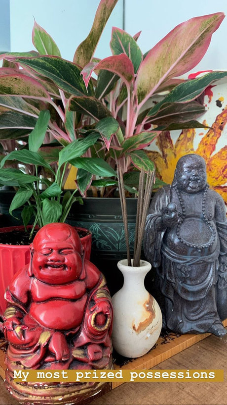 nicki erotic pornstar pic