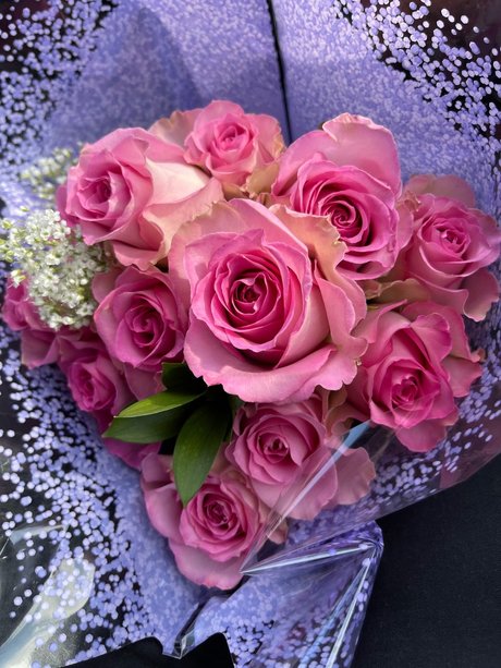 L E X I I_ nude star img