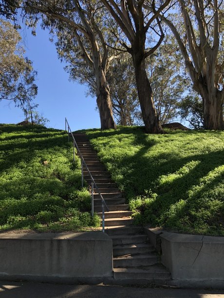 Scratch the Pup nude star img