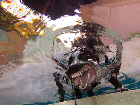 cuminside naked actress img