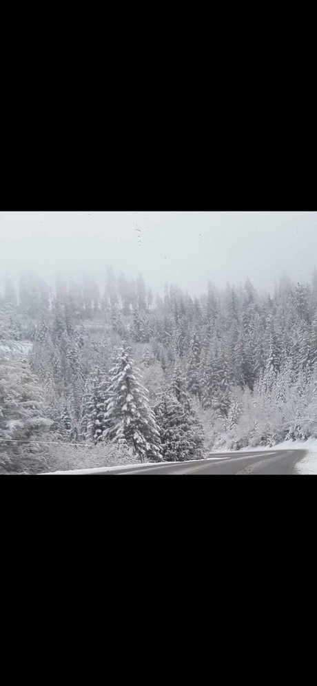 Casey lee Pappan erotic actress gallery