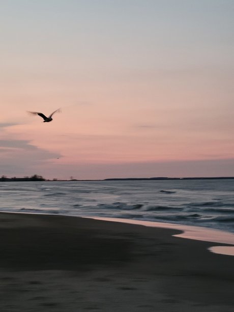 Nicole Phillips sex model images