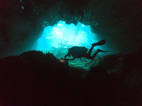 Gerson model exclusive image