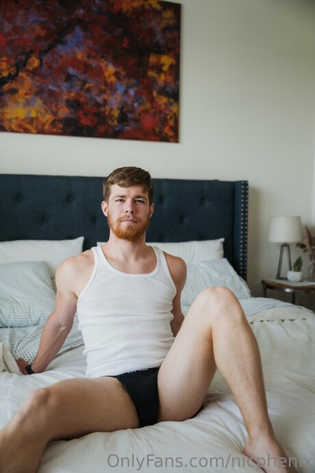 Nic Phenix pornstar art gallery