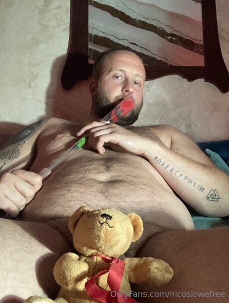 Nicos lowe free star galleries