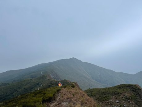 Aninsey high quality model picture