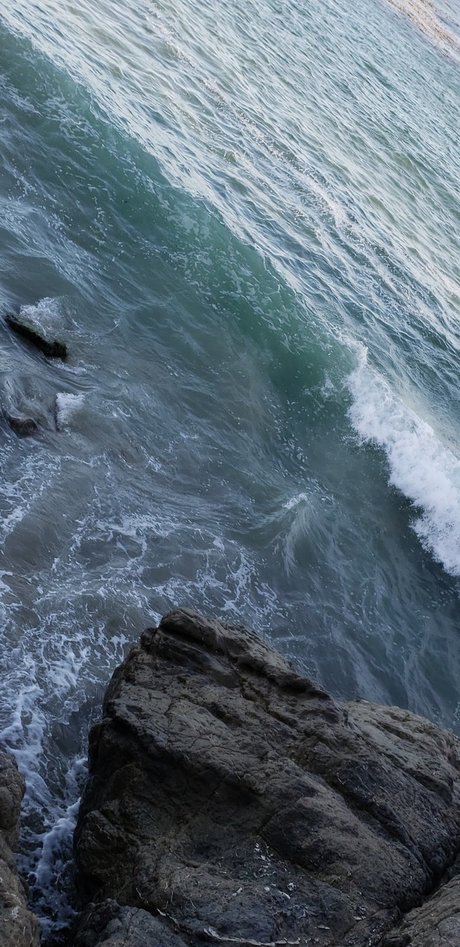 dadddy pretty model photo