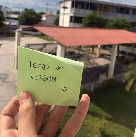 BigOne model nice archive