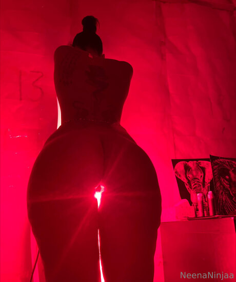 Ninja_ naked model gallery