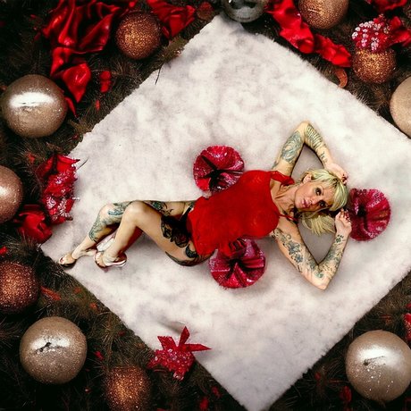 NINA SWEDEN art pornstar pic