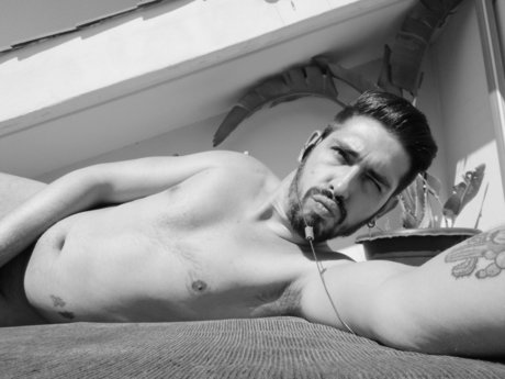 Cricrims pornstar picture