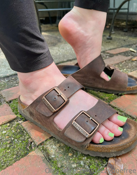 dezzydoefree pornstar pretty pic