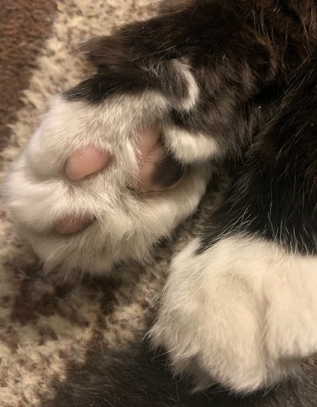 influencer girls onlyfans top picture