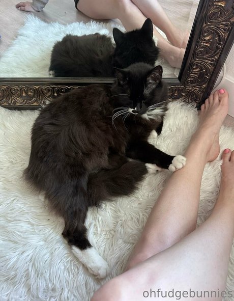 ofudgebunni star erotic photos