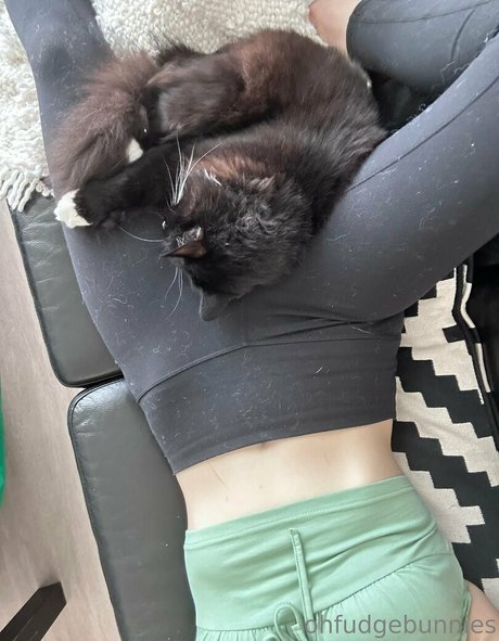 ofudgebunni pornstar archive