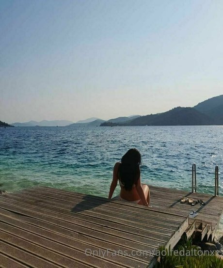 evadeexo star porn archive