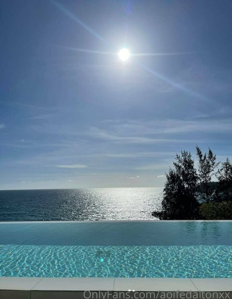 evadeexo star nice galleries