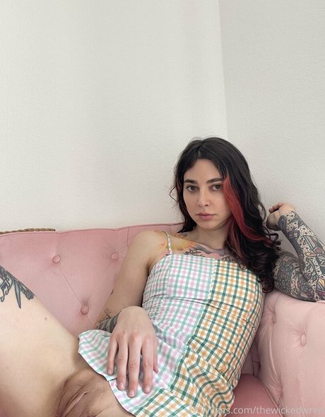 thewickedwren star art pictures