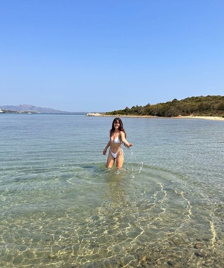 Scout LaRue Willis top model image