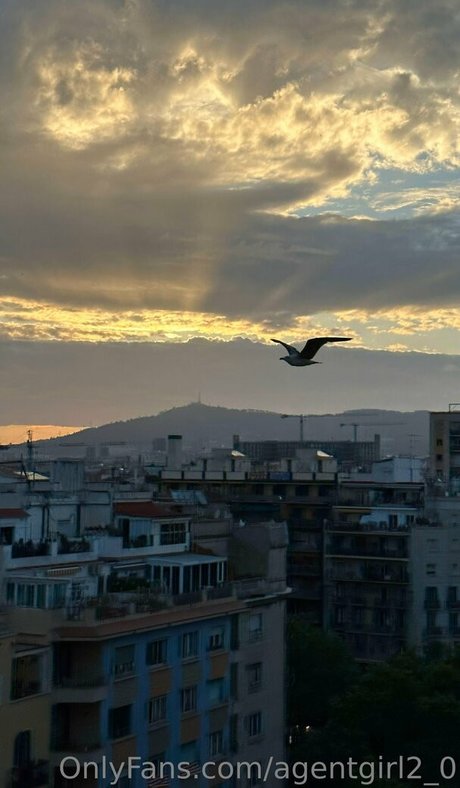 big cock trans onlyfans sexy naked pics