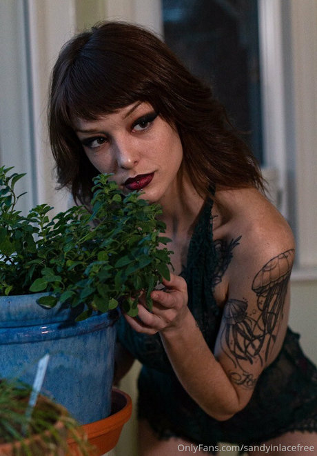 mature pawg onlyfans hot porn galleries