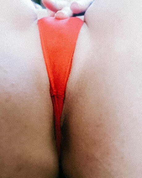 waverlyluxe art star pics