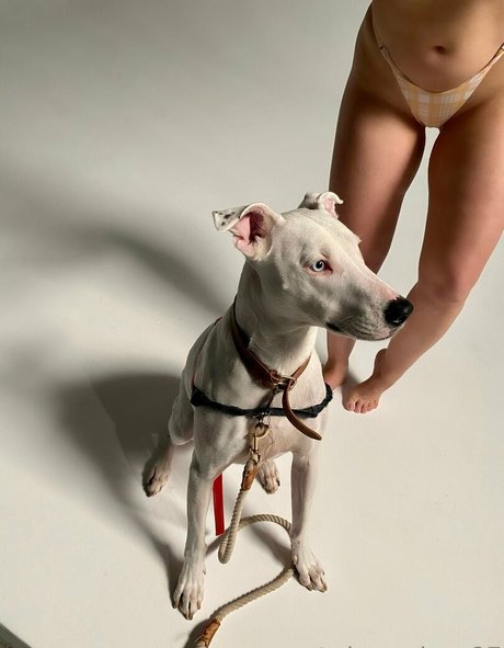 cherrydtv perfect star img