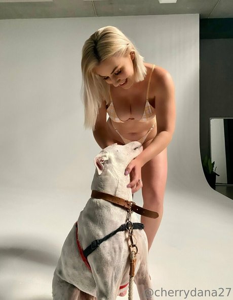 cherrydtv high quality pornstar galleries