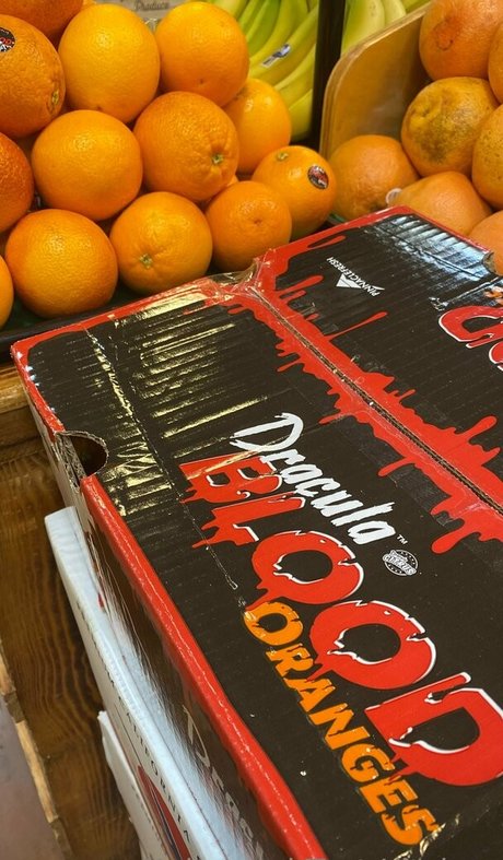 kellynakatomi pornstar adult archive