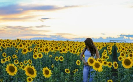 Lauren Boebert exclusive pornstar photo