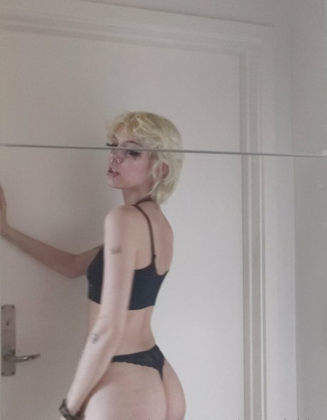 schnitzelbby porn star galleries